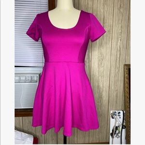 Fuchsia Skater Skirt: Size L